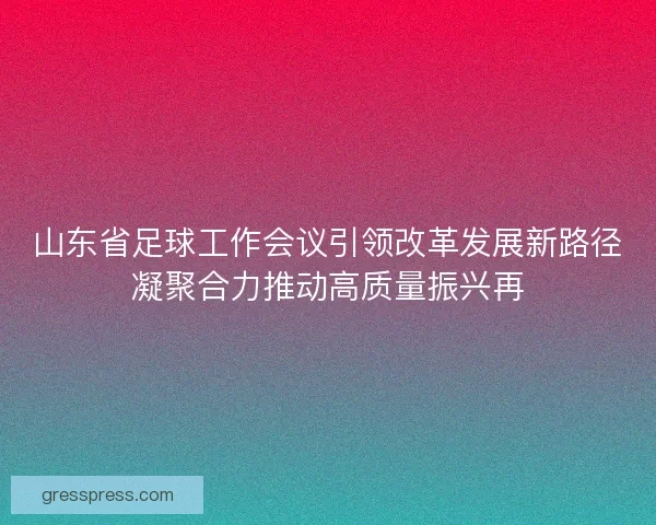 山东省足球工作会议引领改革发展新路径凝聚合力推动高质量振兴再